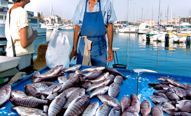 marseille port peche poisson food france monplanvoyage