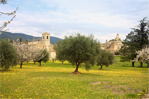 provence olivier village huile culture france monplanvoyage