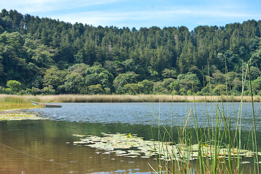 apaneca route des fleurs nature lac salvador monplanvoyage