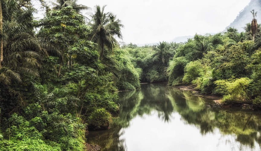 sao tome principe mangrove monplanvoyage