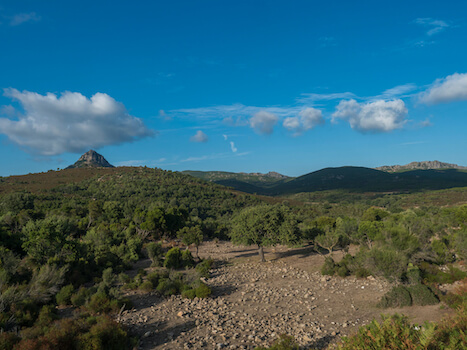 ogliastra montagne olivier nature sardaigne ile italie monplanvoyage