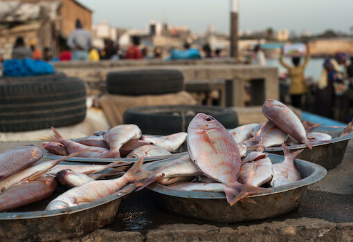 dakar marche food poisson senegal afrique cuisine monplanvoyage