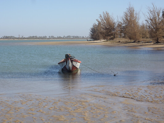 langue barbarie parc nature oiseau senegal afrique monplanvoyage