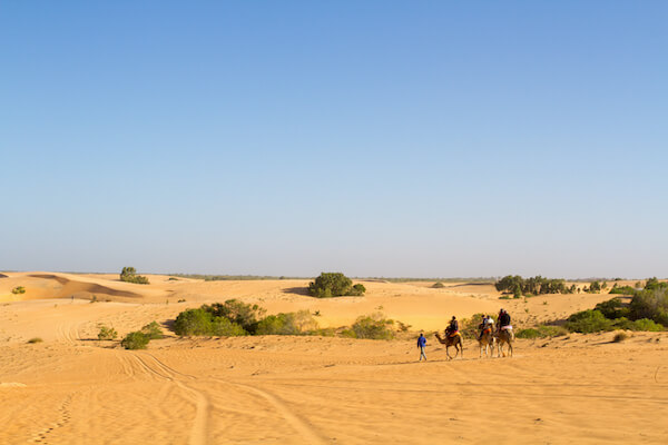 lompoul desert dune sable chameau senegal nature afrique monplanvoyage