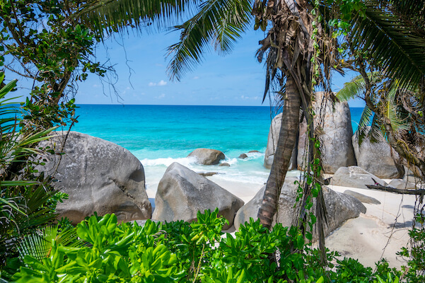 mahe ile beach plage sable cocotier balneaire les seychelles ocean indien monplanvoyage