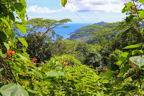 mahe ile gallas randonnee balade nature les seychelles ocean indien monplanvoyage