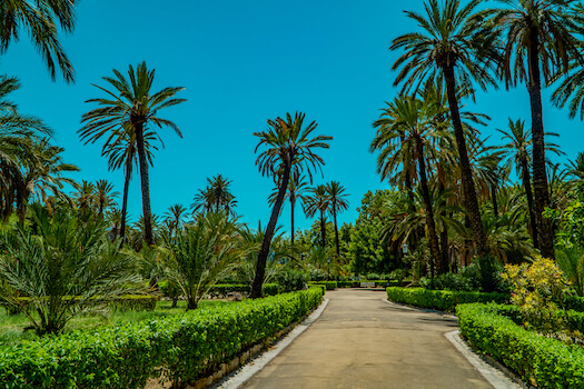 palerme villa bonnano jardin palmier sicile monplanvoyage