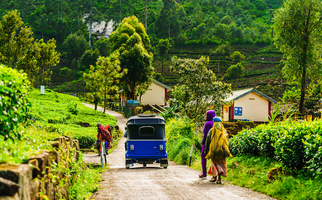 ella the plantation tuk tuk visite srilanka monplanvoyage