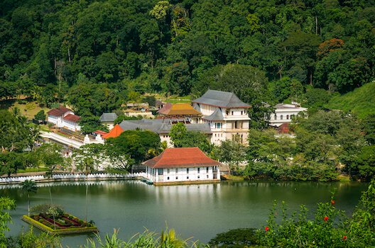 kandy temple bouddhisme religion riziere culture srilanka monplanvoyage