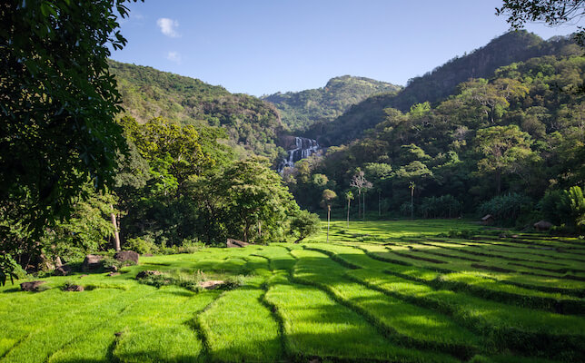 rathna ella randonnee riziere cascade nature srilanka monplanvoyage