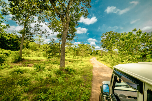 yala parc safari animal faune reserve srilanka monplanvoyage