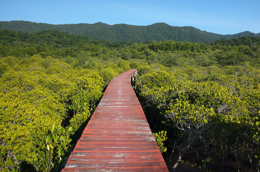 koh chang ile foret randonnee nature thailande asie monplanvoyage