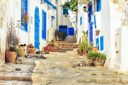 sidi bou said rue pavee architecture tunisie monplanvoyage