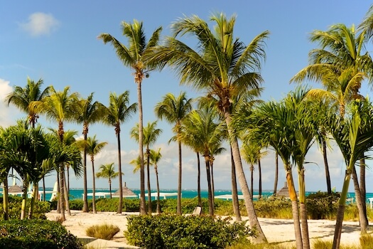 providenciales grace baie palmier plage iles turques et caiques archipel caraibes monplanvoyage