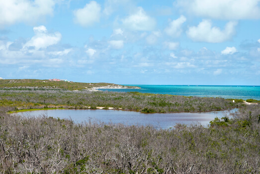 providenciales mangrove iles turques et caiques archipel caraibes monplanvoyage