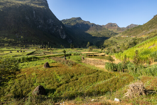 dong van agriculture campagne vietnam monplanvoyage