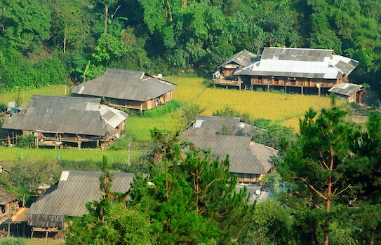 hmong ethnie village champ vietnam monplanvoyage