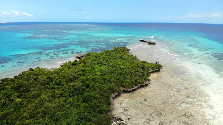 chumbe ile zanzibar tortue faune ocean indien tanzanie monplanvoyage