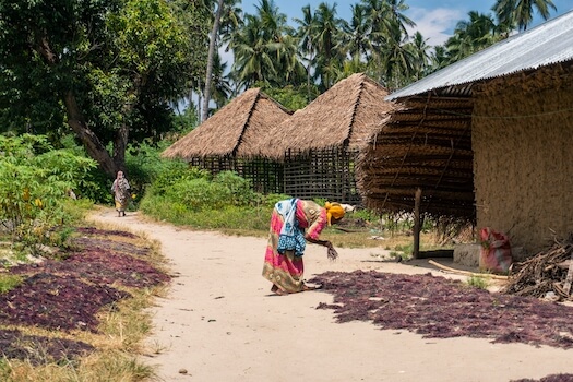 pemba ile village femme ile zanzibar tanzanie monplanvoyage