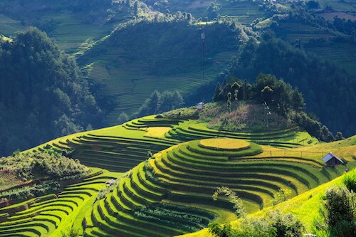 Vietnam riziere voyage Asie monplanvoyage