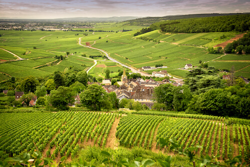 bourgogne vignoble monplanvoyage