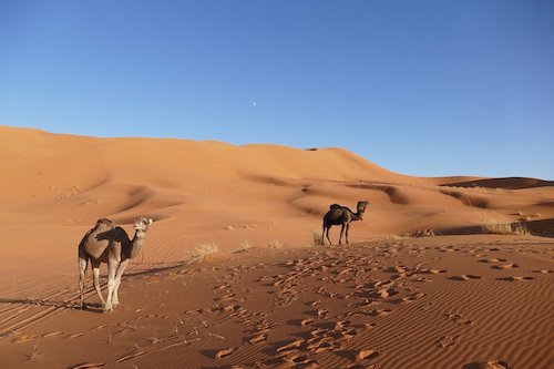 Maroc Villes MONPLANVOYAGE.jpg